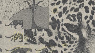 Grazia e disperazione.