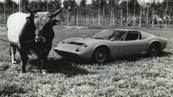 lamborghini miura